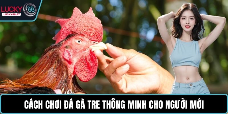 Cách chơi đá gà tre thông minh cho người mới